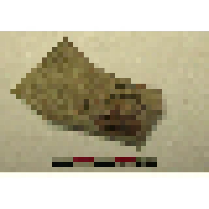 Обломок донца сосуда