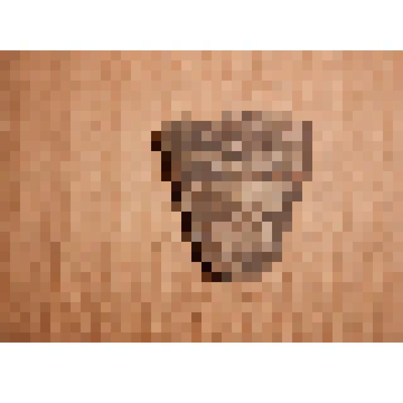 Фрагмент стенки гончарного сосуда