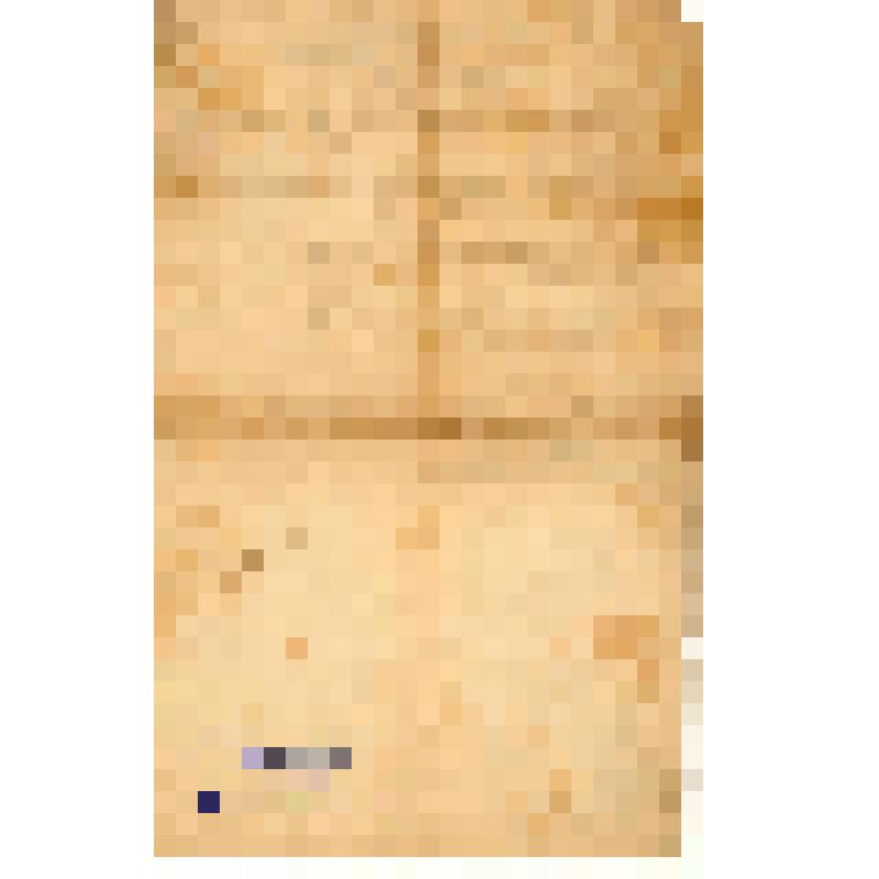 Чек