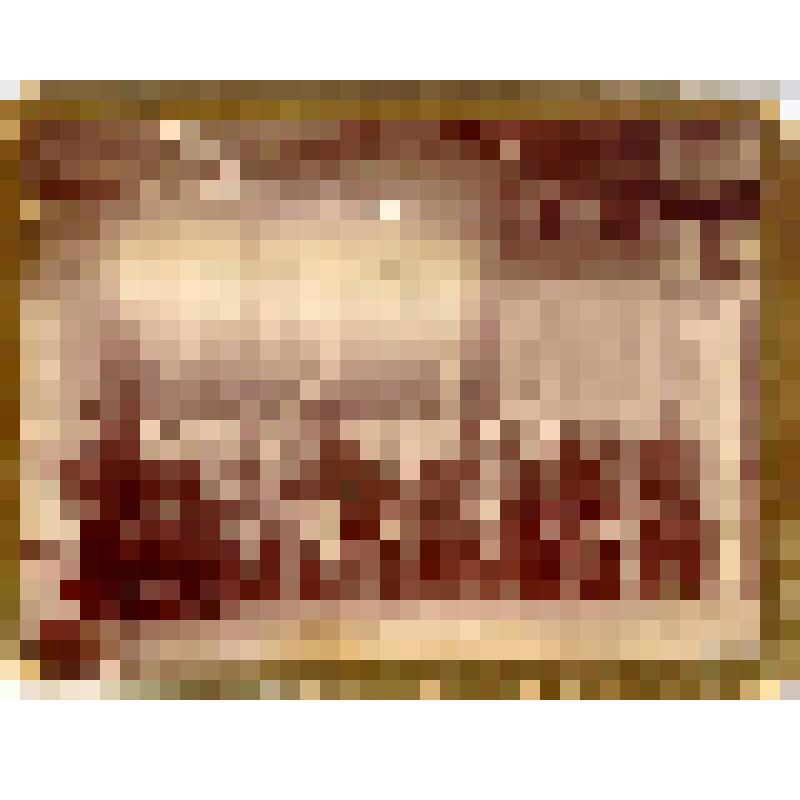 Фотография. Степанов Григорий Николаевич в группе актива крестьян после торжественного открытия школы ?