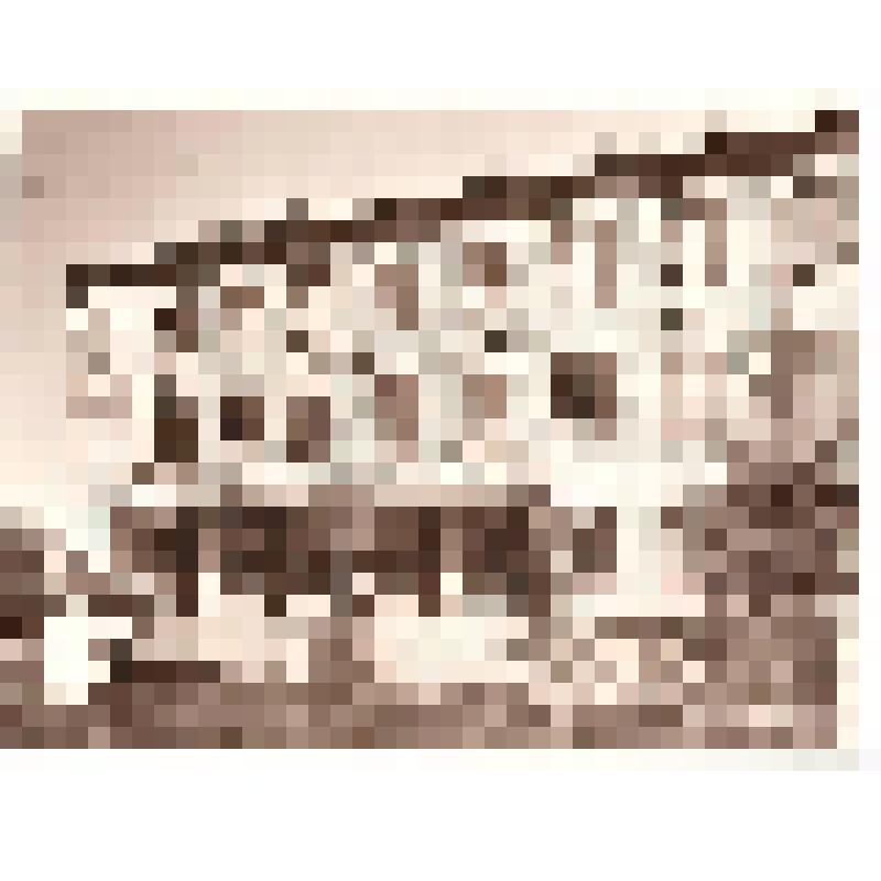 Фотография. Учебный корпус СГПТУ № 6