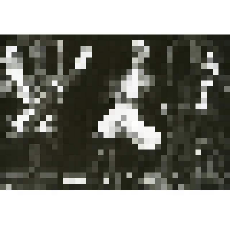 Фотография. Сцена. "Ошибка одной ночи" (пост. П. Хомский, худ. Н. Рыбасова). Москва, Театр им. Моссовета