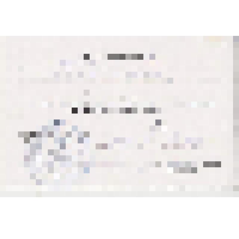 Удостоверение N2 члена участковой избирательной комиссии с правом решающего голоса Шульца А.Б