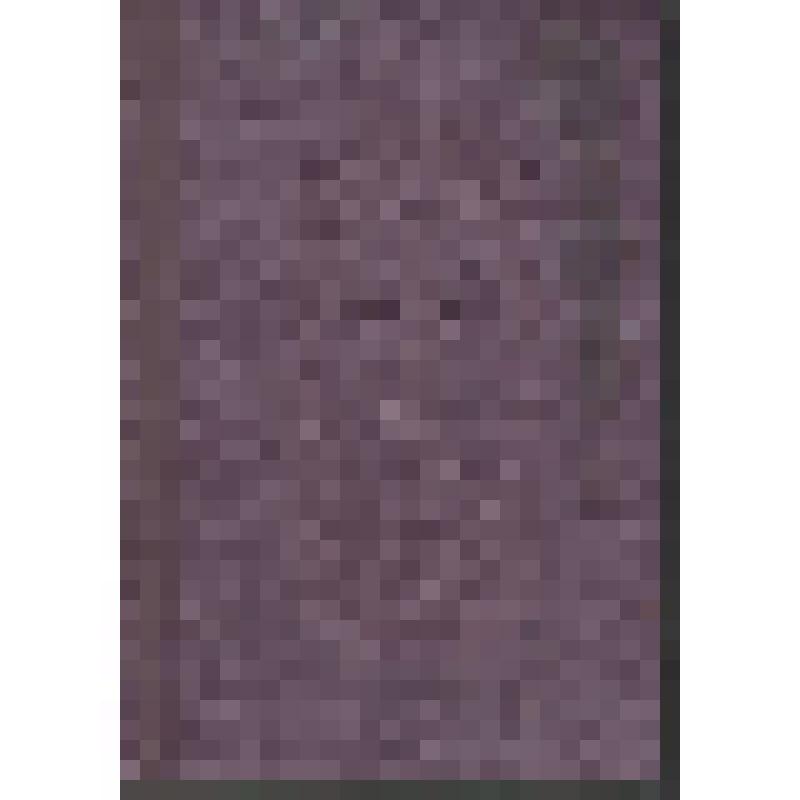 Православный молитвослов.Польша, Западная Украина, г. Львов, 1937 г 263 с