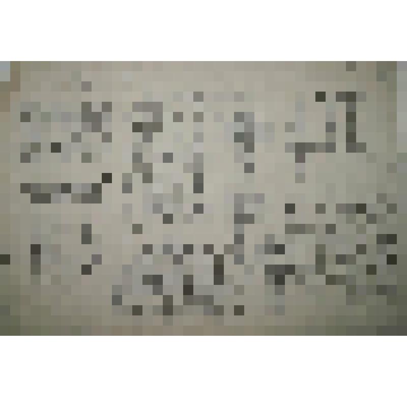 Орнамент. Прорисовка инициалов и фрагментов декора. Рисунок