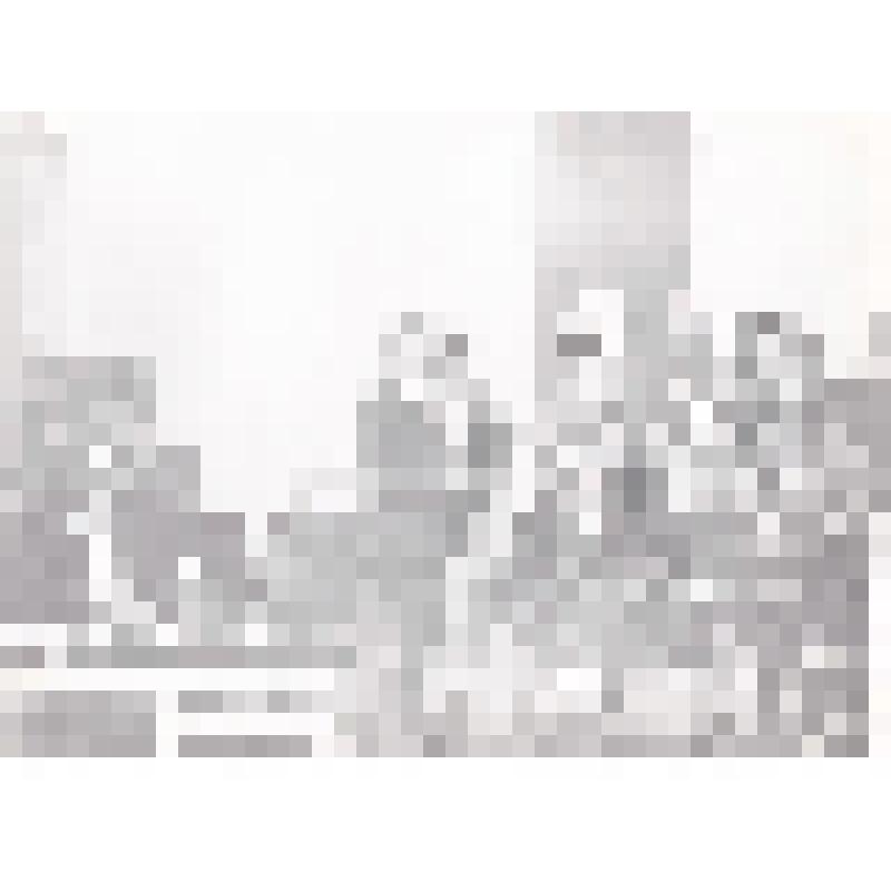 Фотография ч/б. День автомобилиста. Город Нефтеюганск. Фондообразователь: Общественный музей Нефтеюганска