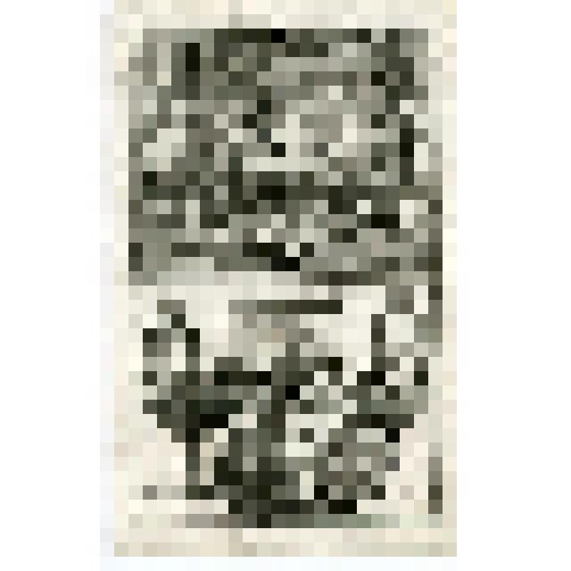 Офорт. Лист 139. Иллюстрации к Первой Книге Маккавейской