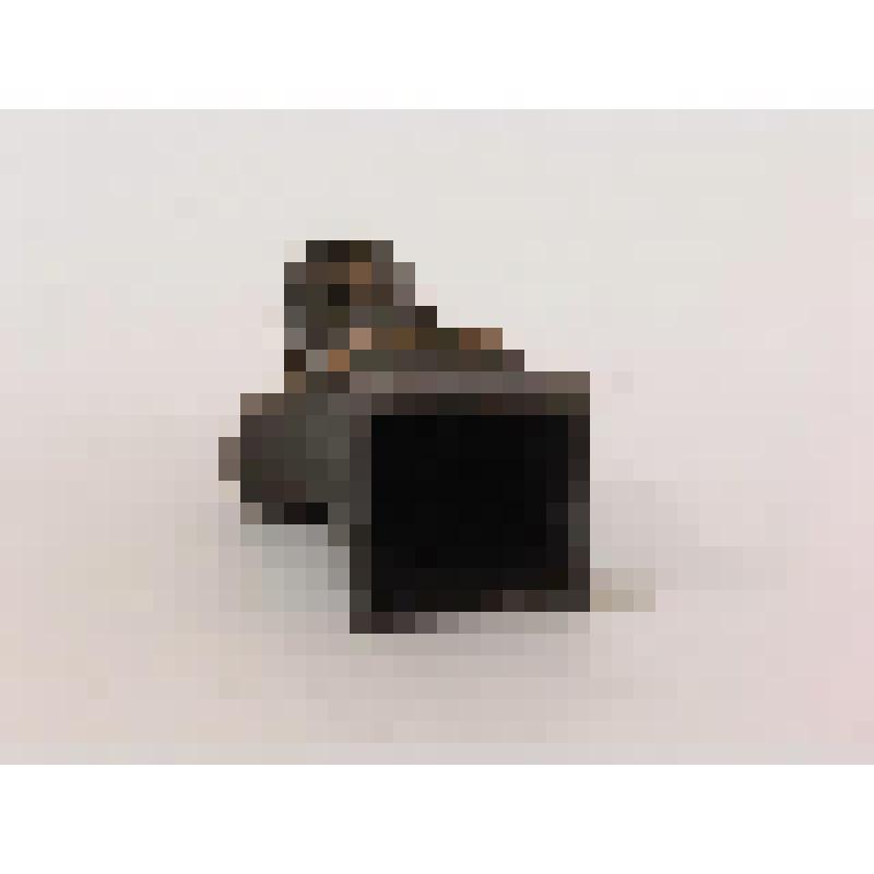 Бюст М.Горького