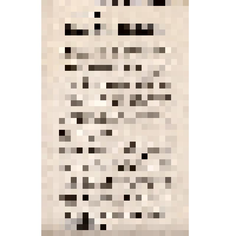 Золотоношская комиссия по сбору оружия при Золотоношском уездвоенкоме. Товарищи Крестьяне, рабочие и красноармейцы