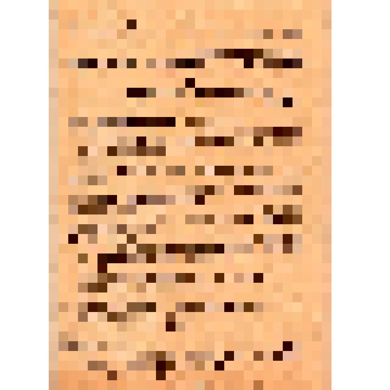 Черниговская губернская политическая мобилизационная комиссия. Красные добровольцы и черные добровольцы