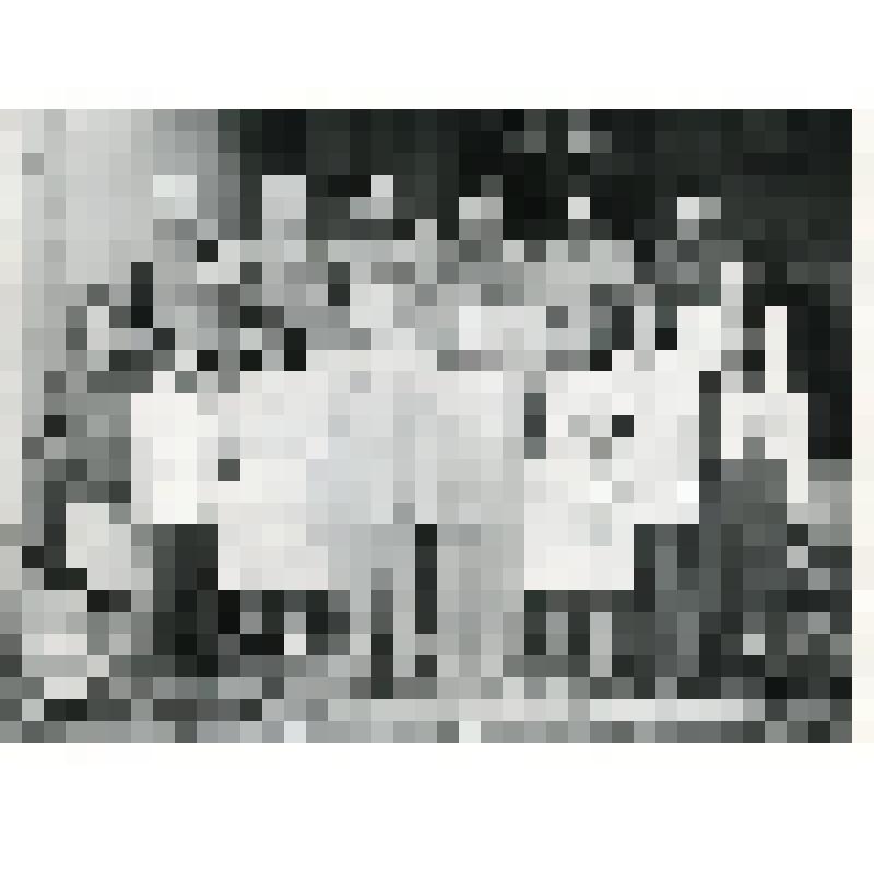 Группа работников Министерства земледелия Китайской Народной Республики