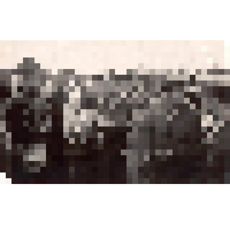 Фото. Ю.А.Гагарин во время первого после полета в космос приезда в с. Клушино на свою малую родину