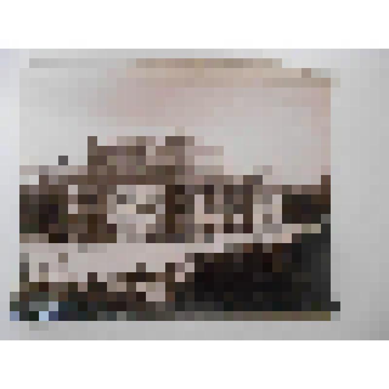 Бургтеатр. 1874-88 гг. Австрия, г. Вена. Бургтеатр. 1874-88 гг. Земпер Готфрид; фон Хазенауэр Карл. Общ. вид. A. Wimmer