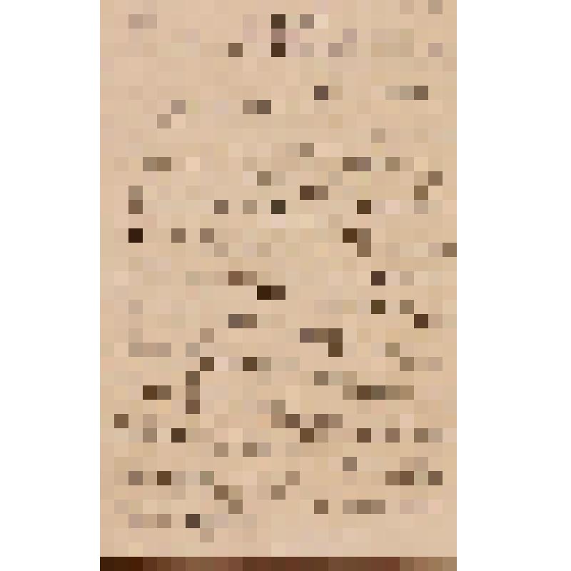 Зазулин И. П. Письмо Островскому А. Н. о своей пьесе "Дурочка"