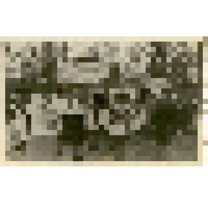 Фотография. 3-й отряд детского санатория на 11-й Дачной на праздничной линейке (?)