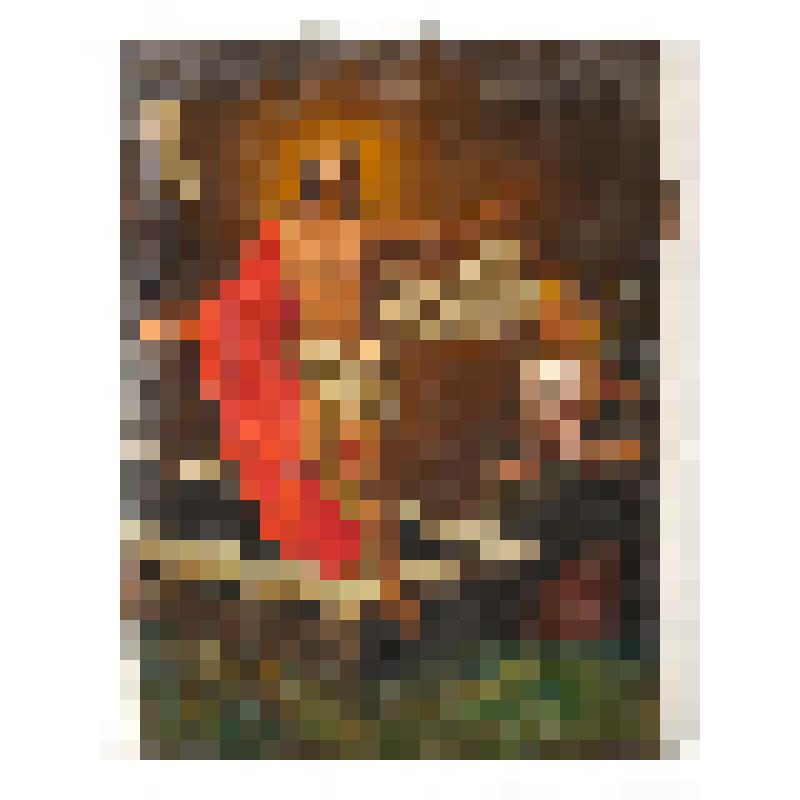 Икона «Воскресенье Христово»