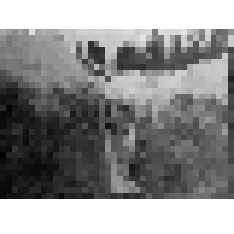 Вид из окопа