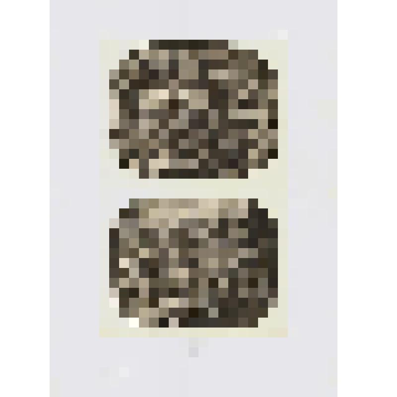 Оттиск с иллюстрацией предметов искусства из коллекции Спитцера. Из альбома «La Collection Spitzer. Antiquite Moyen Age — Renaissance». Tome cinquieme - V (Коллекция Спитцера. Античность. Средние века. Ренессанс. Том 5)