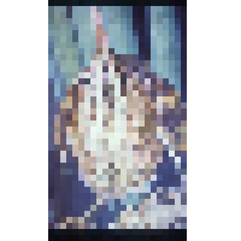 Малая выпь. Диапозитив цветной