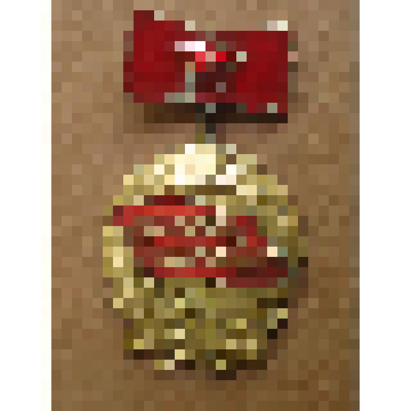 Знак нагрудный "Победитель социалистического соревнования  1973 г. "  Бубенцова В.И. , г.Таганрог