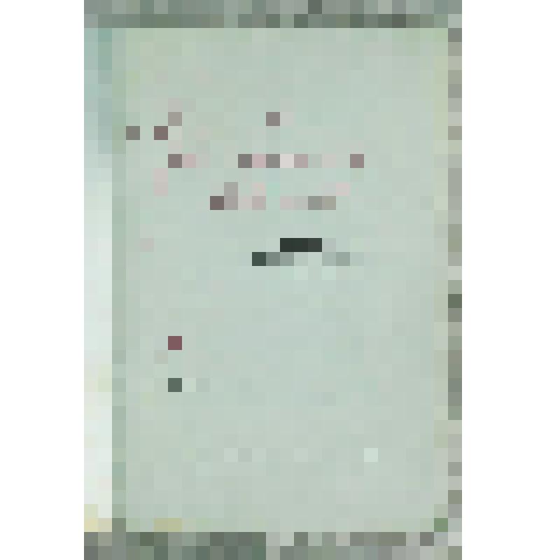 Брошюра. Под северным солнцем. Лирика тюменских поэтов