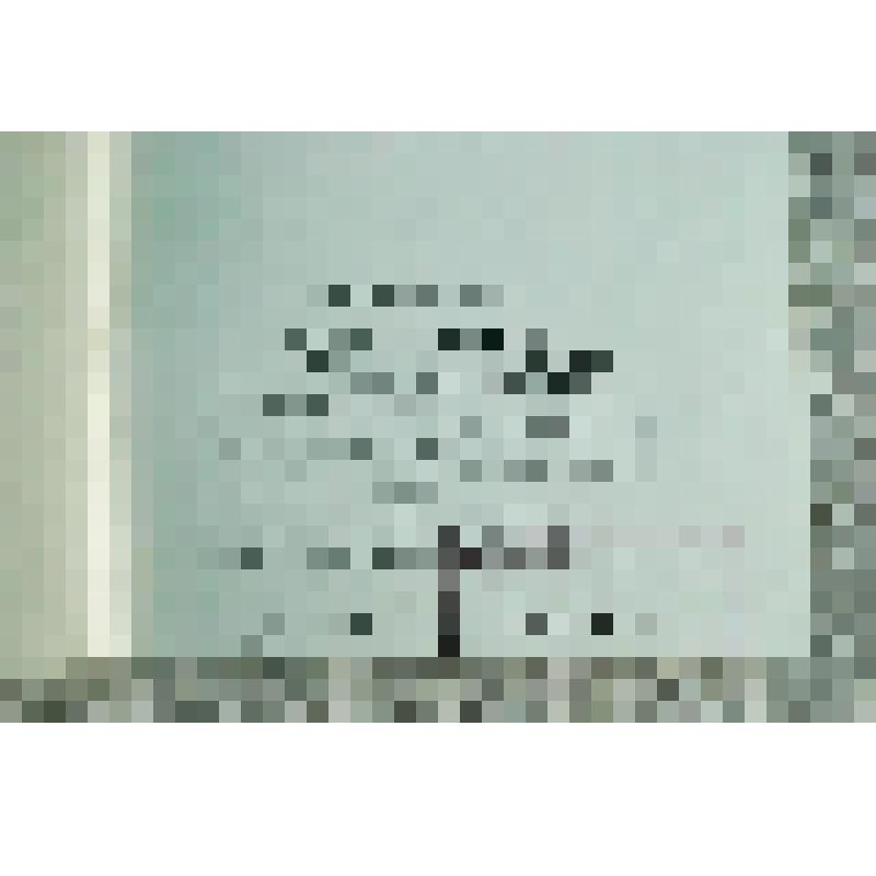 Брошюра. Под северным солнцем. Лирика тюменских поэтов