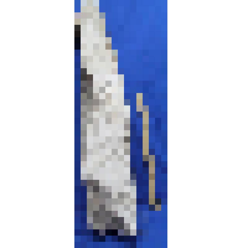 Плита с изображением креста и греческими надписями (фрагмент)