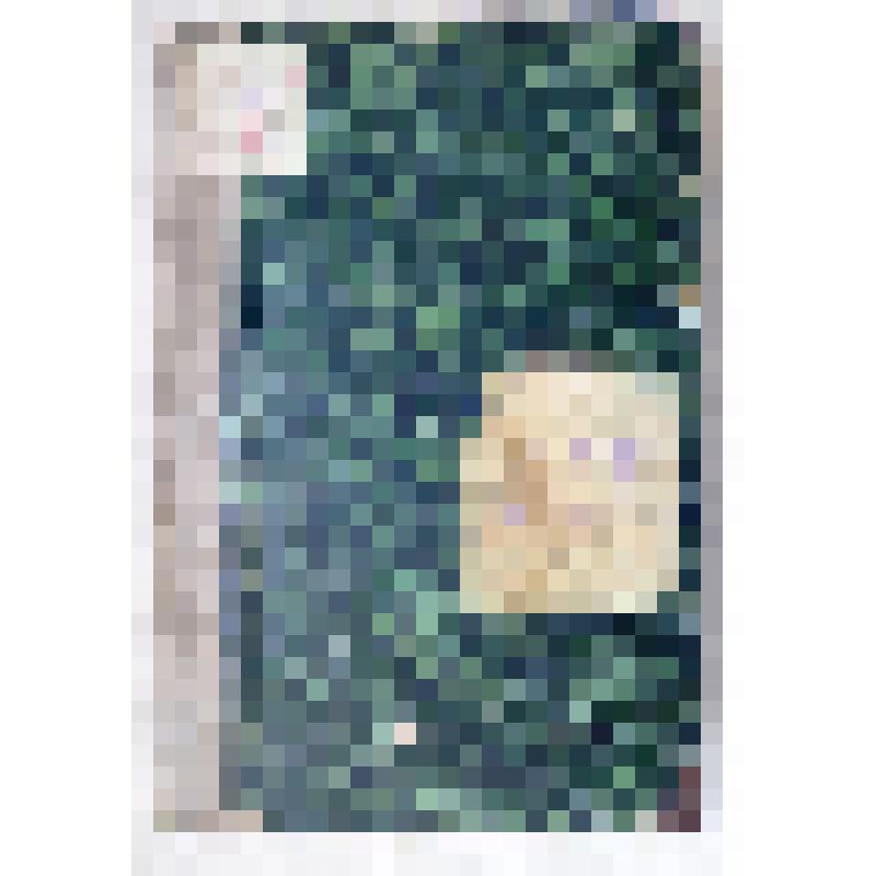 Книга . Очерки