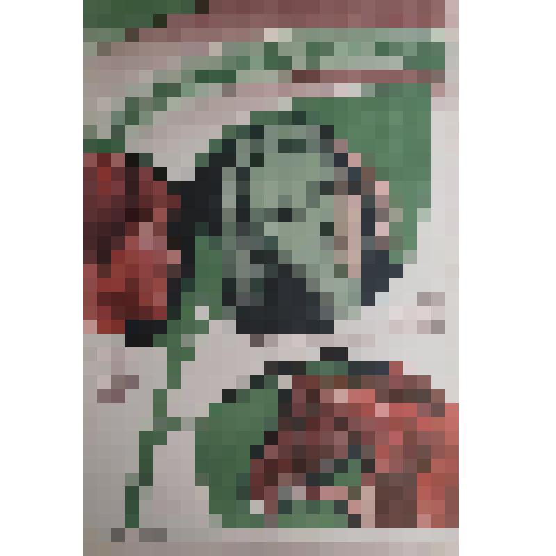 плакат. Фильм: Зеленый остров. 1984