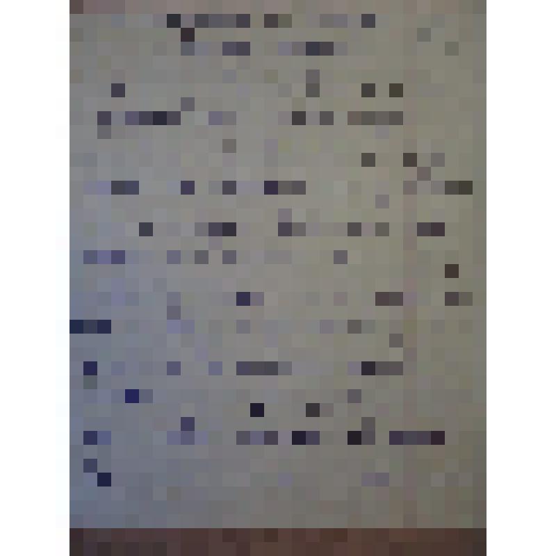 Красовская А.А. Письма - воспоминания о работе первых комсомольцев. 2 л