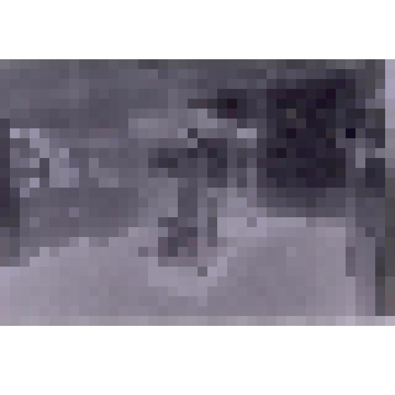 Негатив. "Общий вид зала №5" (в музее)