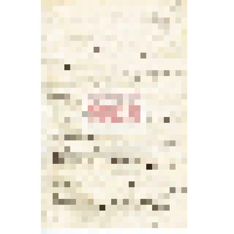 Письмо М. Е. Киборта Мартьянову с уведомлением о получении посылки и письма,  отправке денег,  о  посещении Красноярска  профессоров  Гарницкого, Позднеева, просьбой сообщить будет ли представлен     естественноисторический отдел       Минусинского