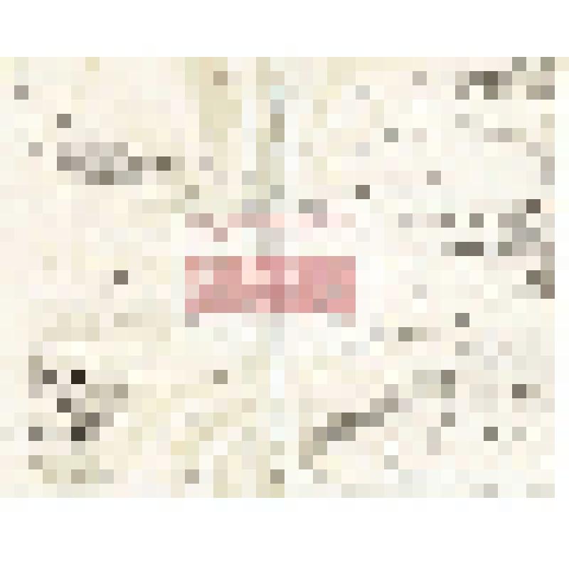 Письмо М. Е. Киборта Мартьянову с уведомлением о получении посылки и письма,  отправке денег,  о  посещении Красноярска  профессоров  Гарницкого, Позднеева, просьбой сообщить будет ли представлен     естественноисторический отдел       Минусинского