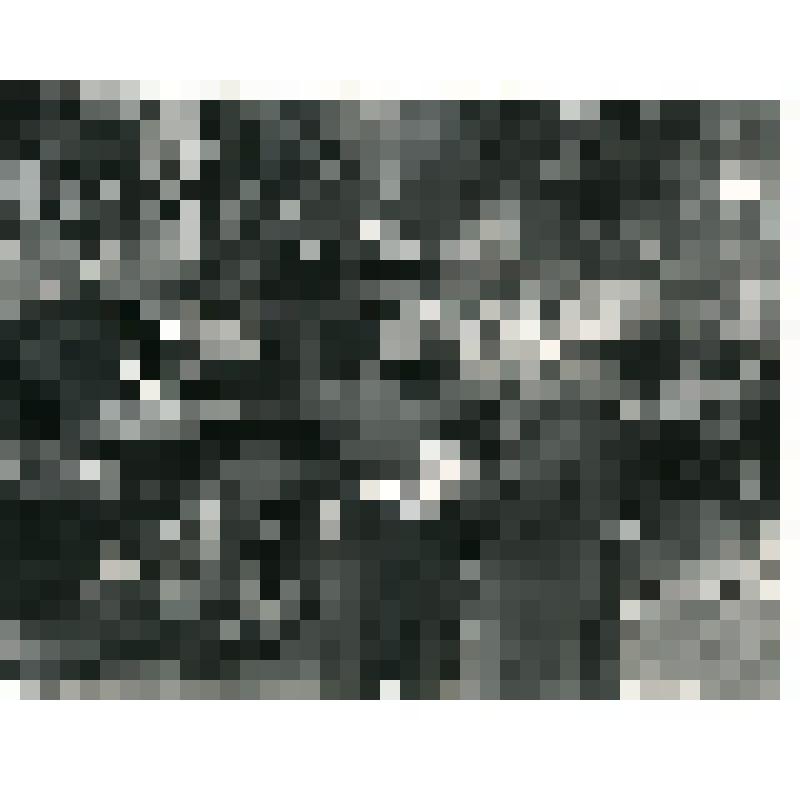 Общий вид конвейера для сборки автомашин "ЗИЛ-157"