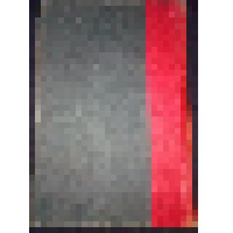 Большая Советская энциклопедия под О.Ю. Шмидт том-шестьдесят первый (Ч-шахт) Москва; ОГИЗ; РСФСР 1934г