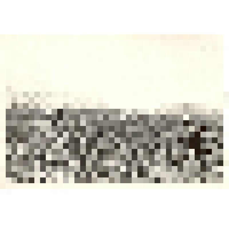 Фотография: работает бригада садоводов фруктово-ягодного сада Плотниковского совхоза Каменского района Алтайского края под руководством А.Артамонова