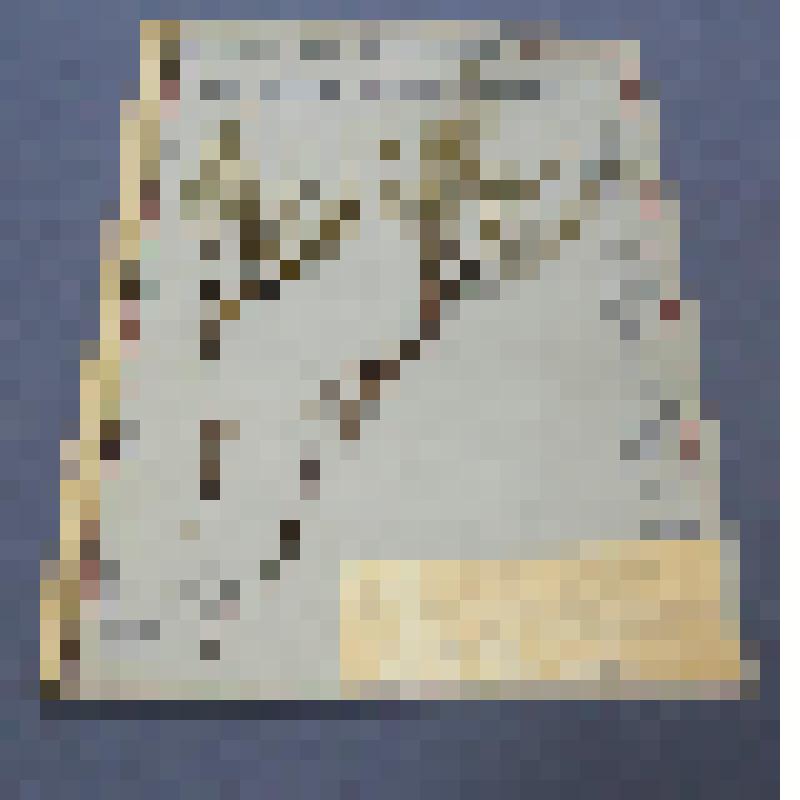 Ботаническая коллекция. Эфедра двухколосковая, семейство эфедровых, на гербарном листе,  склон горы у реки Енисей. Cем. Ephedraceae  ephedra Z  distachya Z