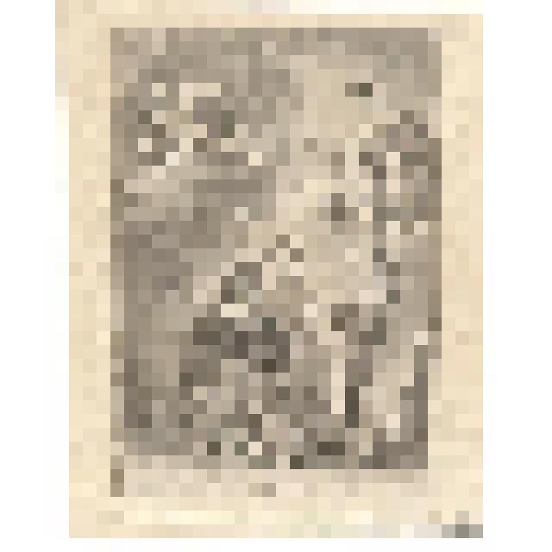 Святой Доминик