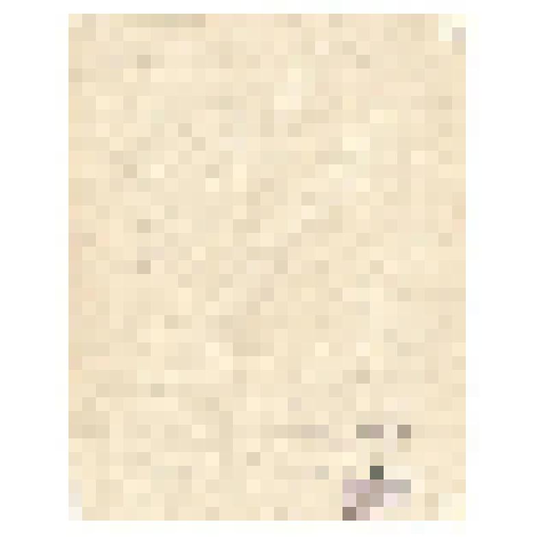 Святой Доминик