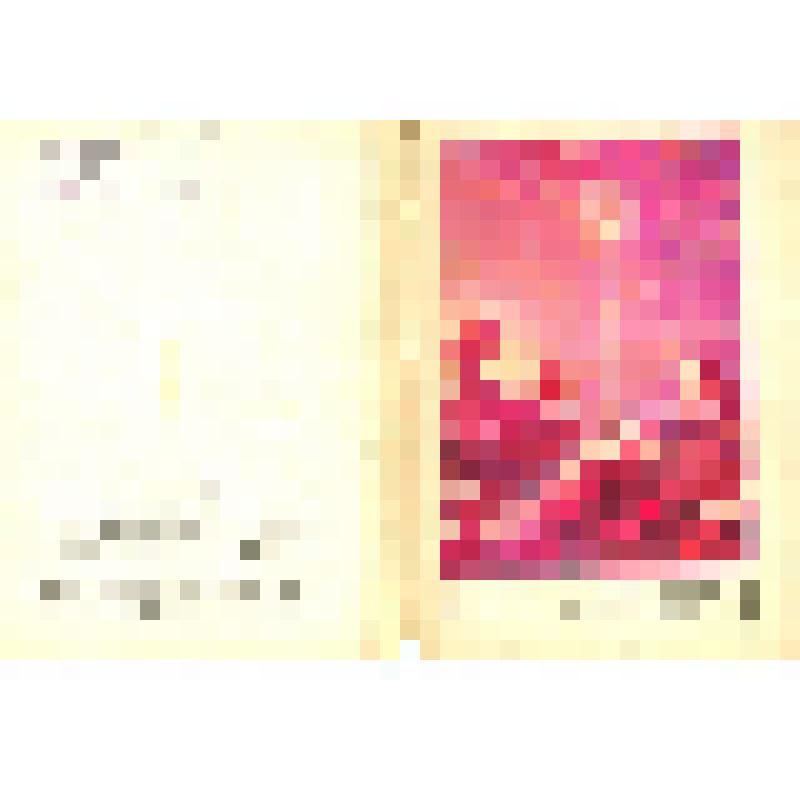 Набор открыток «Звездные пути»