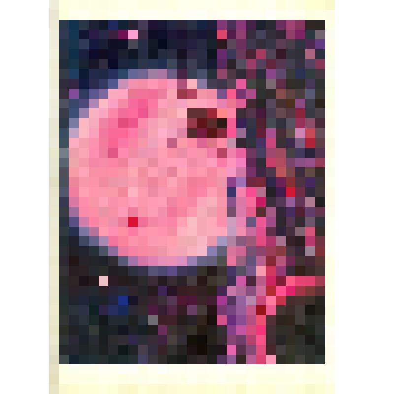 Набор открыток «Звездные пути»