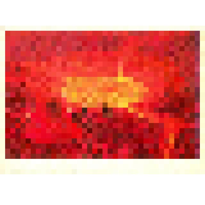 Набор открыток «Звездные пути»