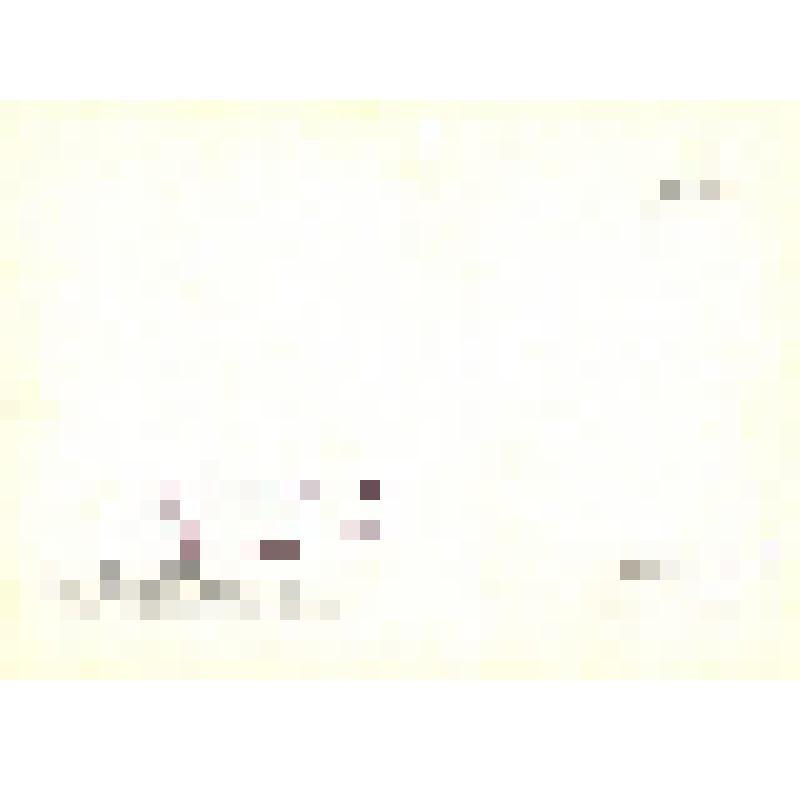 Набор открыток «Звездные пути»