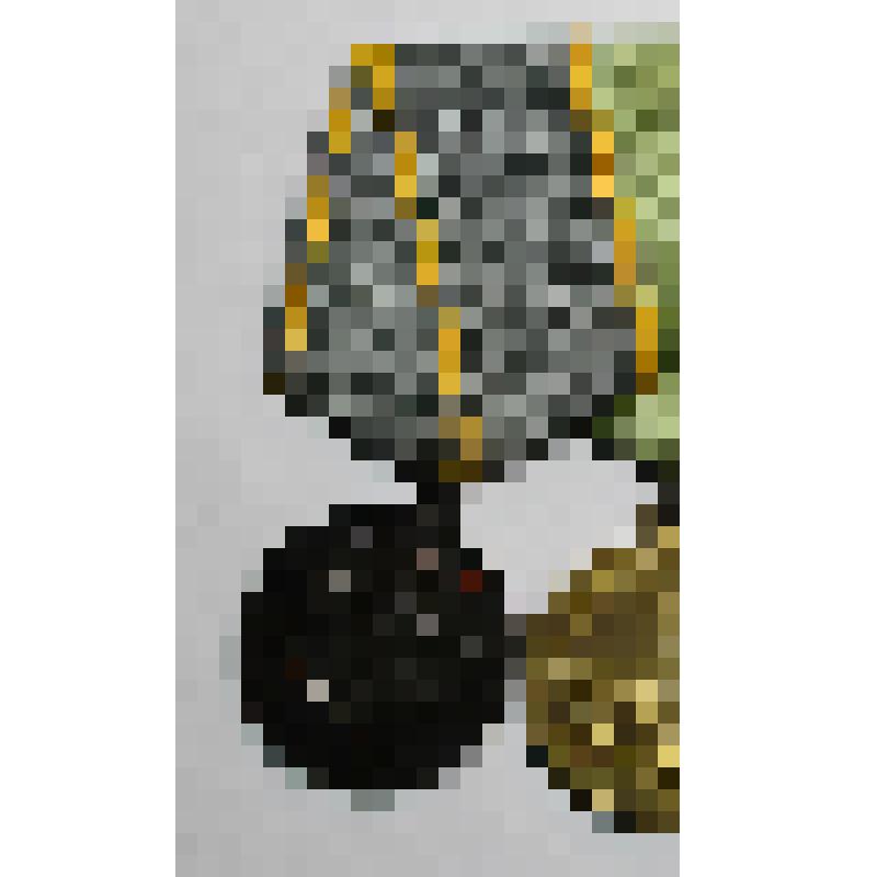 Медаль «За боевые заслуги»