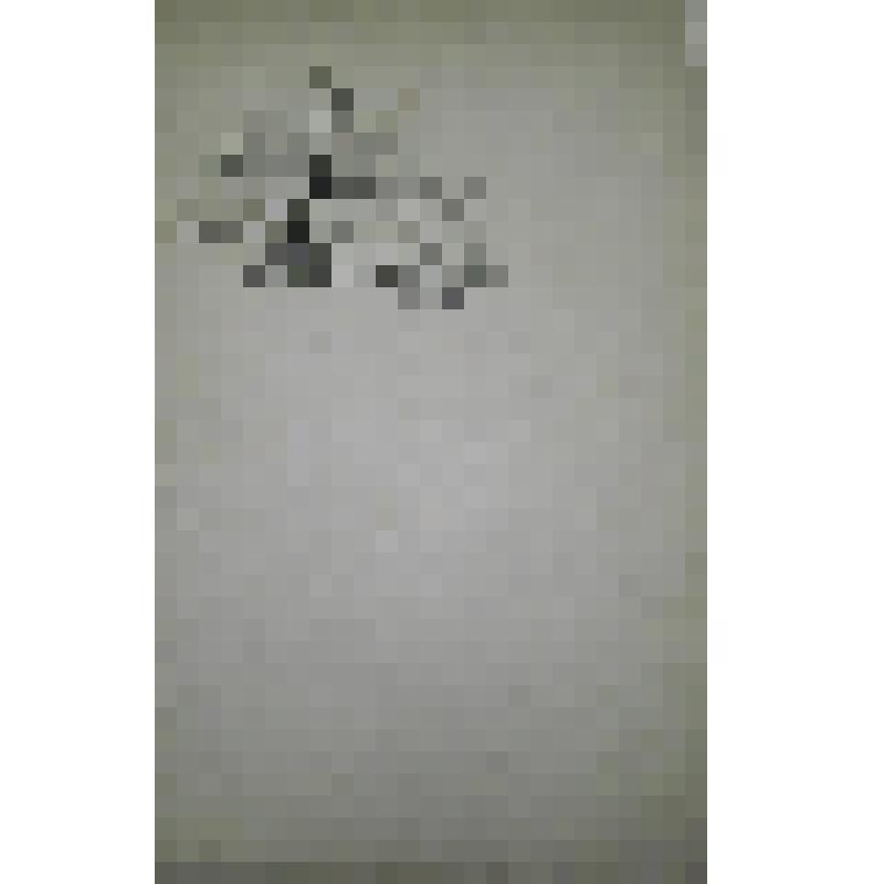 Программа концерта воспитанниц Женской Мариинской гимназии, 5 ноября. Обложка. Рисунок