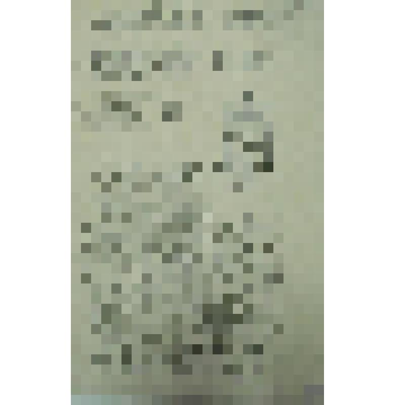 Орнамент. Прорисовки фрагментов вязи. Женская головка. Рисунок