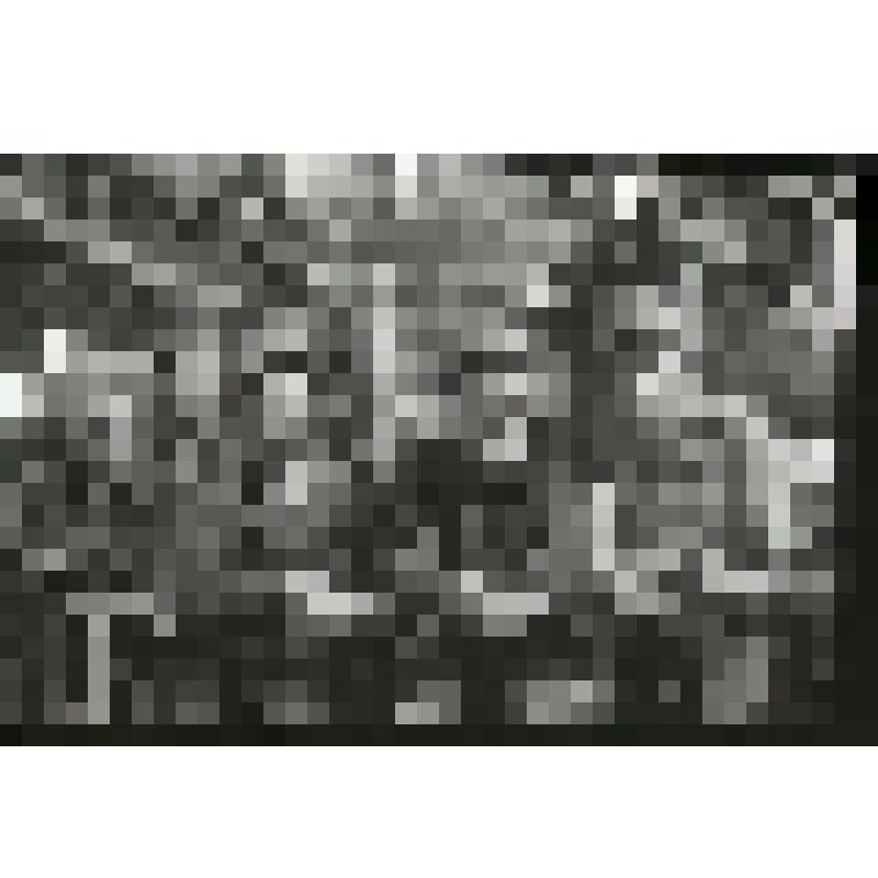 Негатив. Бригада кузнецов П.В. Мозжерина ЧТЗ