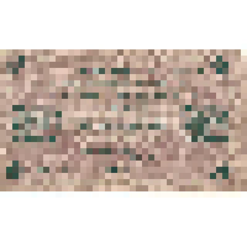 Государственный кредитный билет. Россия. 250 рублей. 1917 г