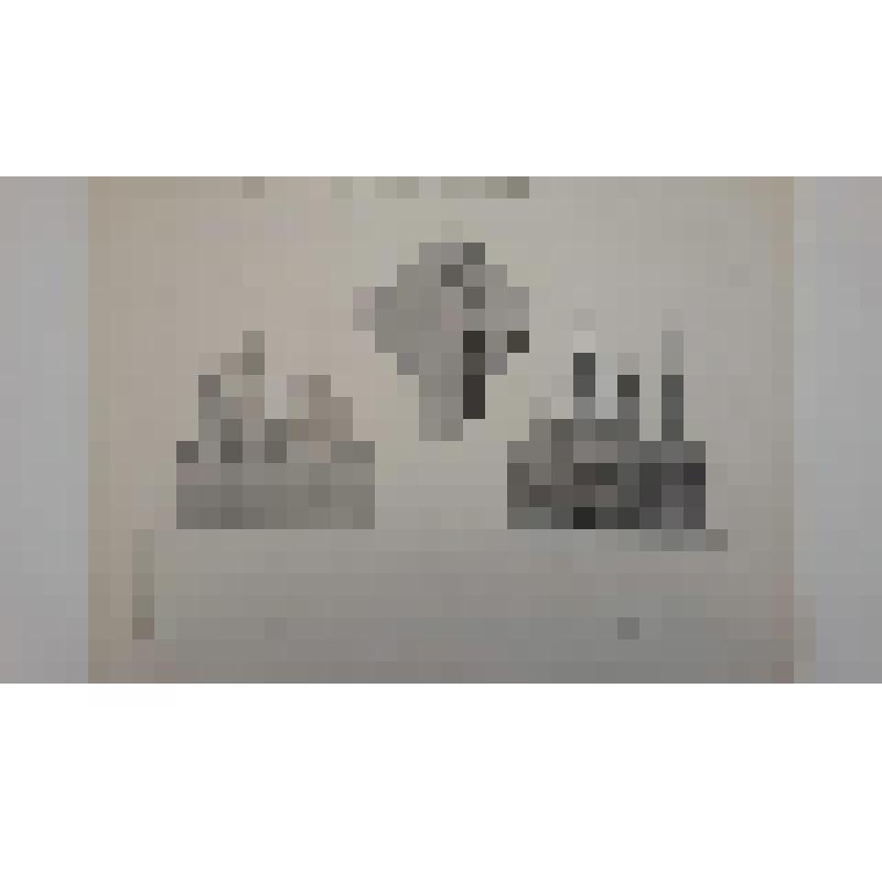 Храм Воскресения Христова ("Спас на Крови"), наб. канала Грибоедова.(Екатериниский), 26. 1883-1907 гг. г. Санкт-Петербург (Ленинград). Храм Воскресения Христова ("Спас на Крови"). Второй конкурс проекта храма. Анонимный проект под девизом "Москва". Разрез