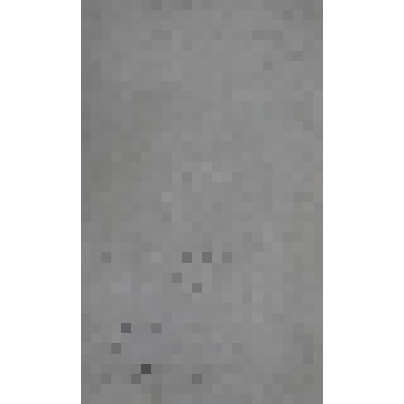 Портрет И.Л.де Лолме